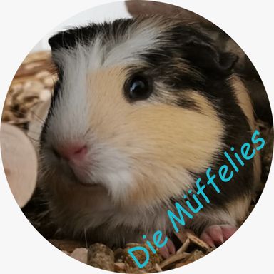 Die Müffelies